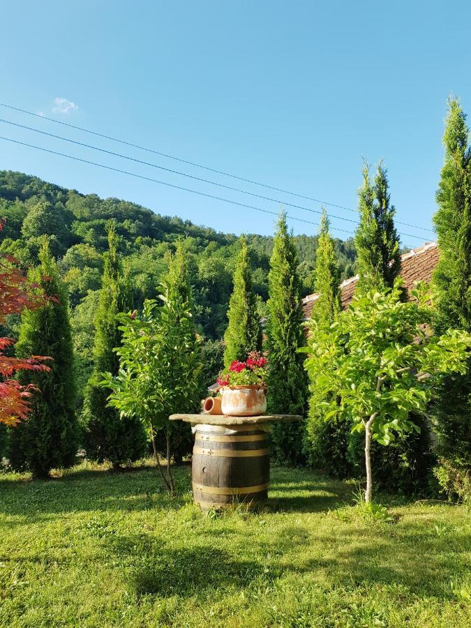 Family Hotel Chiflik Hills ภายนอก รูปภาพ